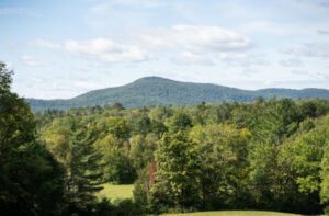 Do Small Family Forests Have a Significant Impact on Climate?