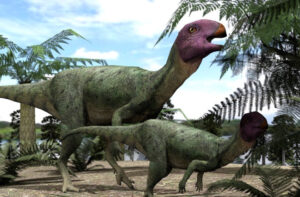 Dinosaur the Size of a Dog Had an Appetite for Plant Shredding