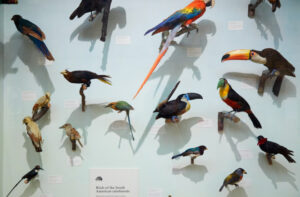 Is There a More Ethical Approach to Collecting Museum Specimens?