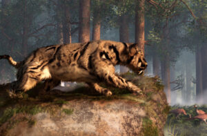 Uncovering Two New Species of Sabretooth Cat through a Fossil Hotspot