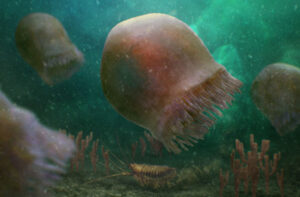 Ancient Jellyfish Existed Prior to Plant Evolution