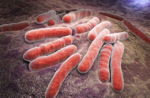 The Significance of Bedaquiline for Individuals with Tuberculosis