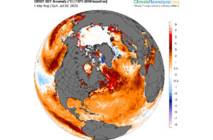 What Should We Name the Phenomenon as Temperature and Other Climate Extremes Break Records – ‘Global Boiling’, ‘Weirding’, or Something Else?